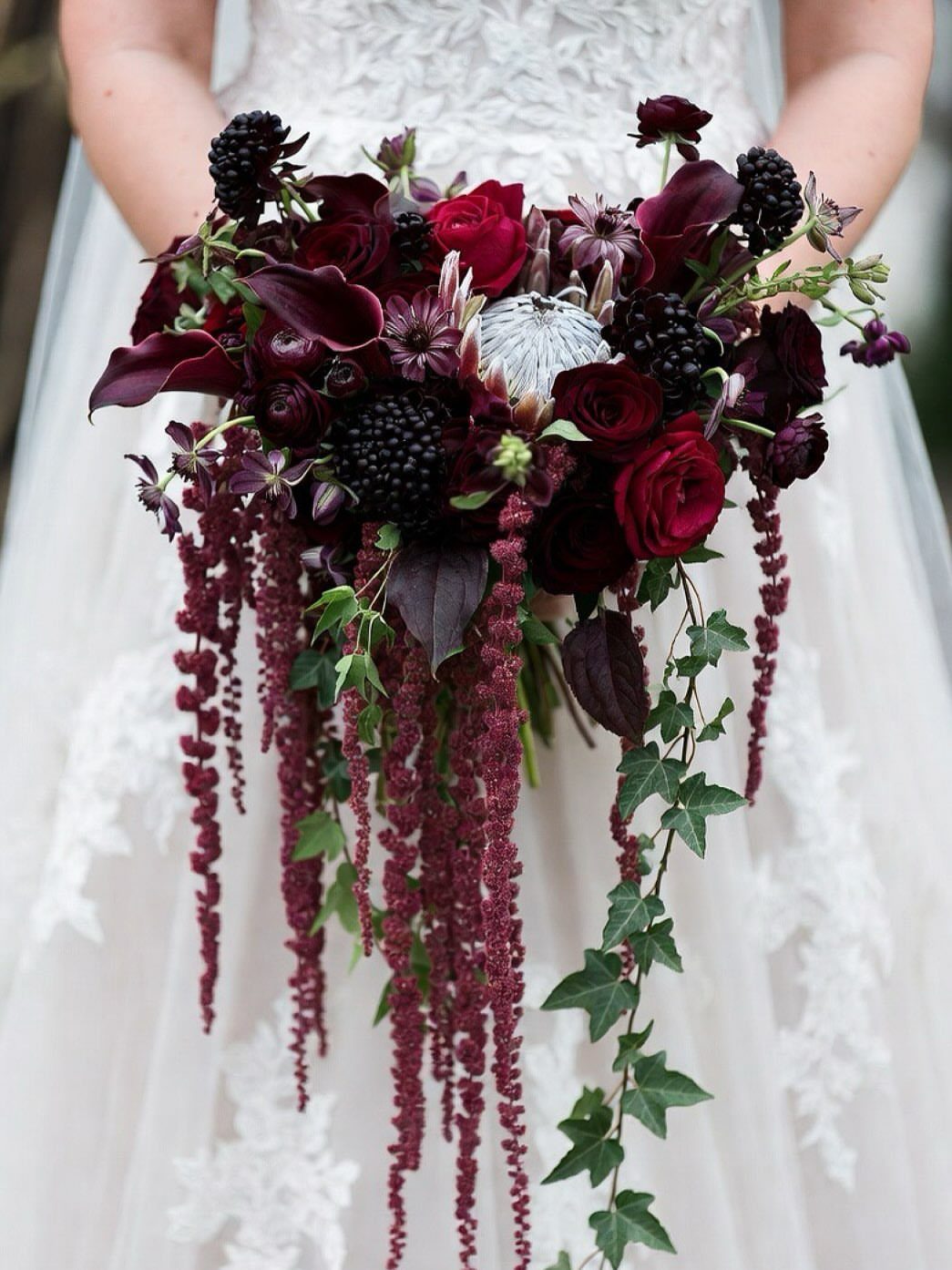 Burgundy cascading bridal bouquet with dark roses, berries, and trailing amaranthus vines.