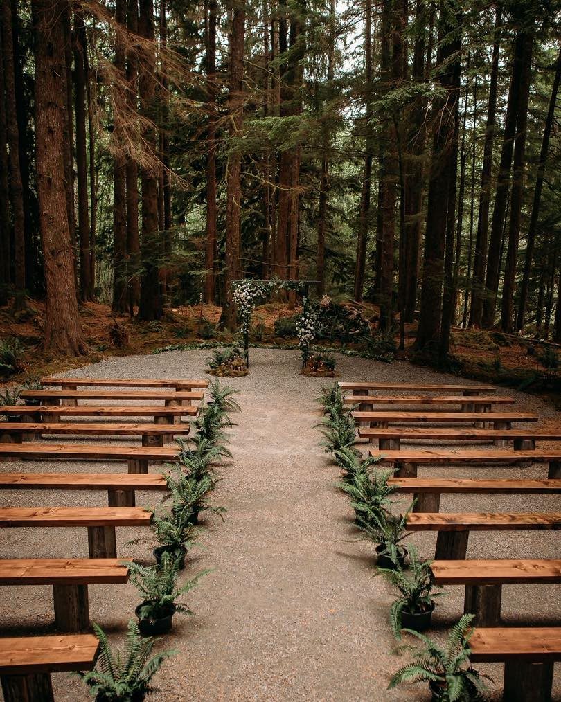 Wooden wedding benches and potted ferns lining a gravel aisle in a forest