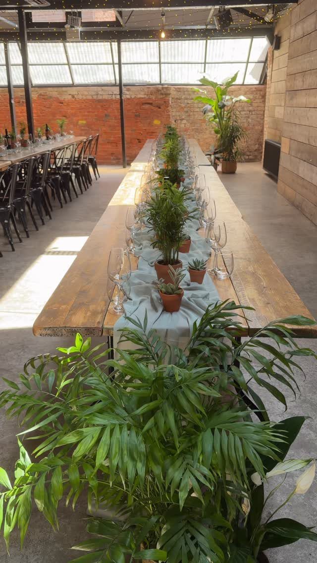 Long wooden table with a grey runner and small potted green plants.