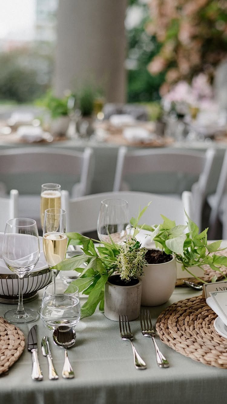 Potted green plants as centerpieces on a wedding table with elegant place settings.