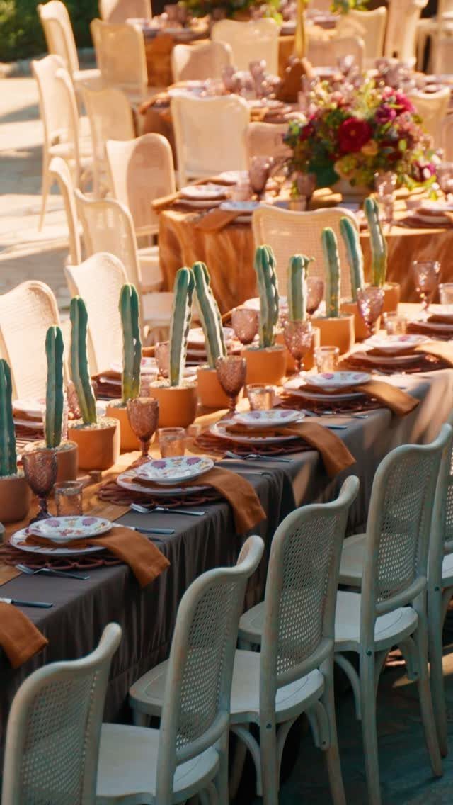 Outdoor wedding tables with terracotta napkins and small potted cacti centerpieces.