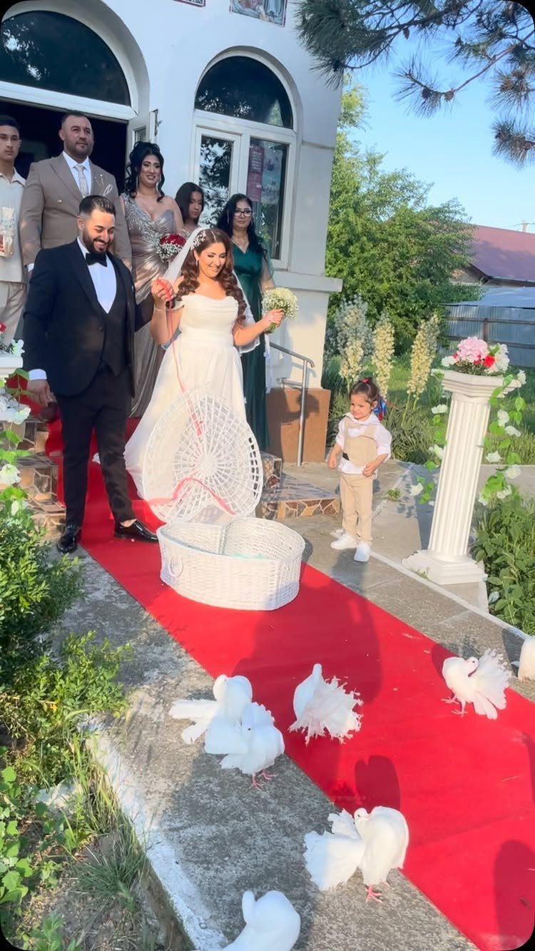Bride and groom walking down a red carpet with white pigeons outside.