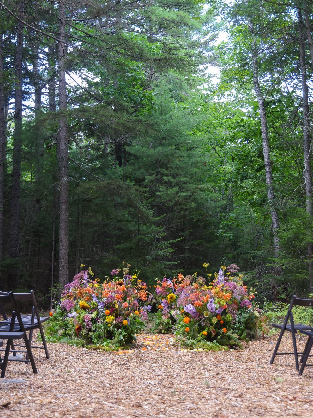 Colorful floral arrangements in a forest clearing with dark folding chairs and mulch.