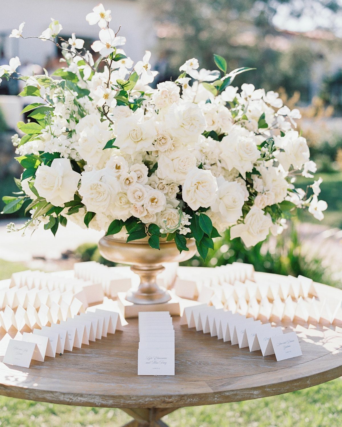 White rose centerpiece on a wooden table surrounded by folded white place cards.