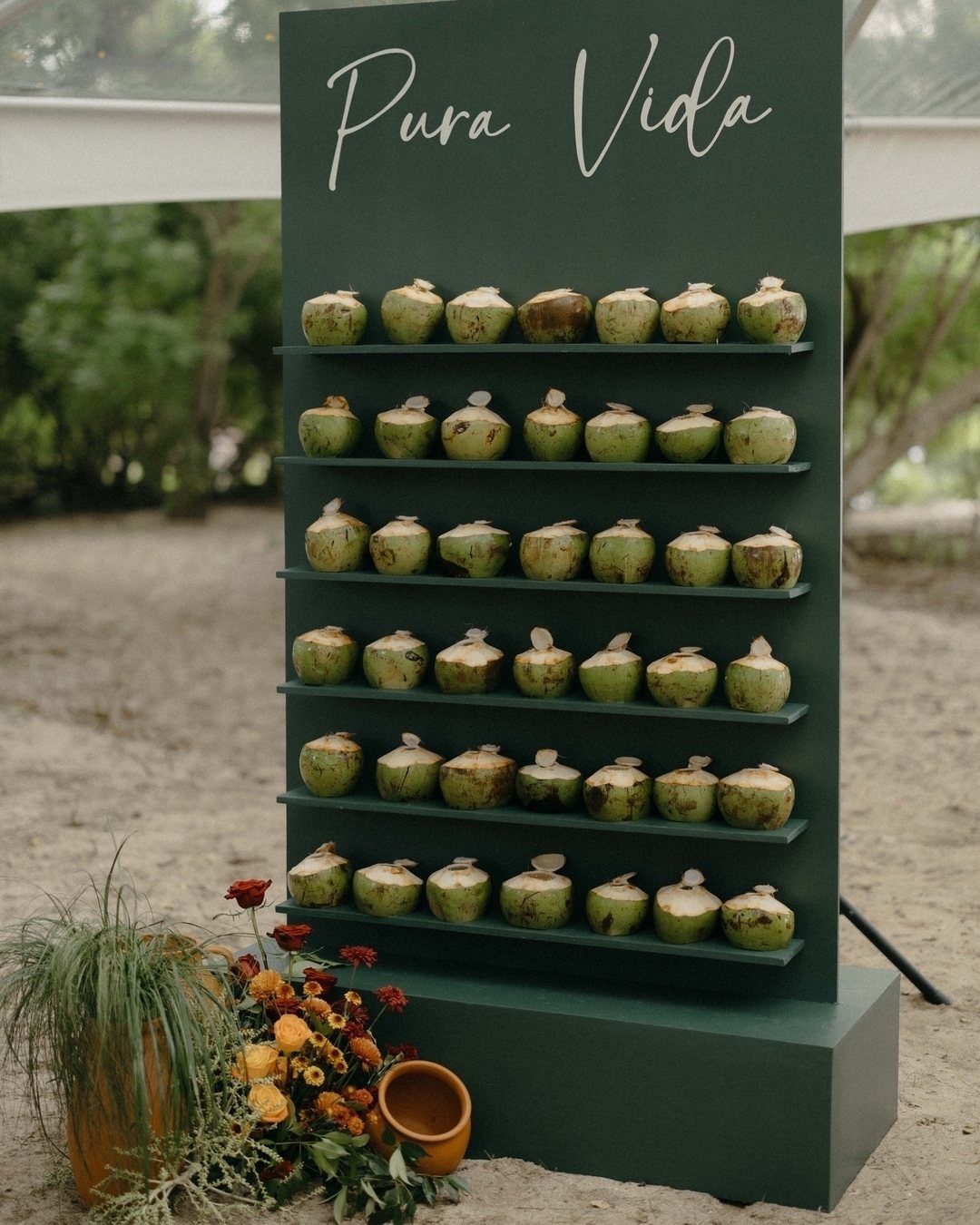 Green coconut escort wall with white name cards and Pura Vida text.