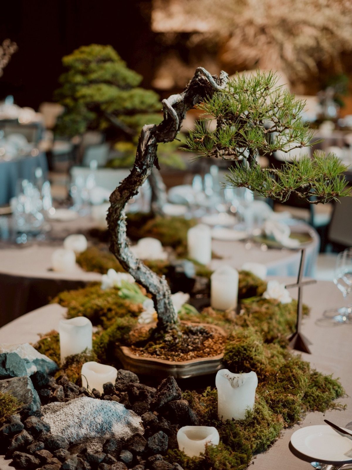 Bonsai tree centerpiece with moss, white candles, and stones on a wedding table