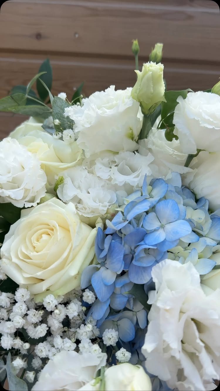 White roses and blue hydrangeas arranged in a wedding bouquet with baby's breath.