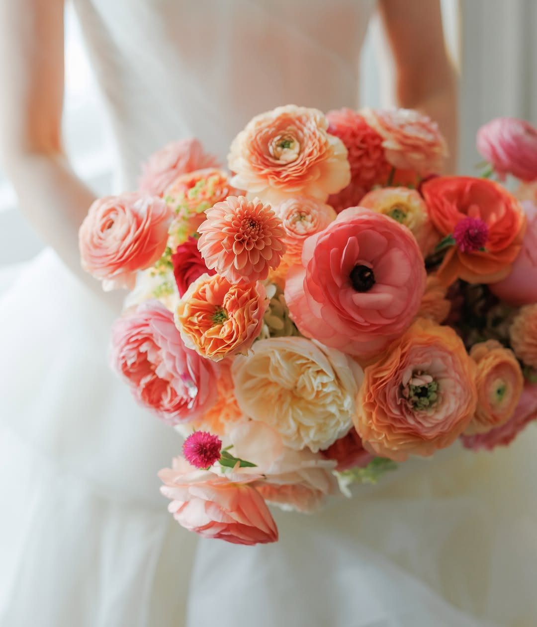 Peach and coral ranunculus wedding bouquet held by a bride in white.