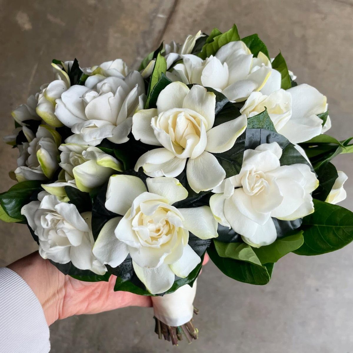 Gardenia bridal bouquet with creamy white petals and glossy green leaves.