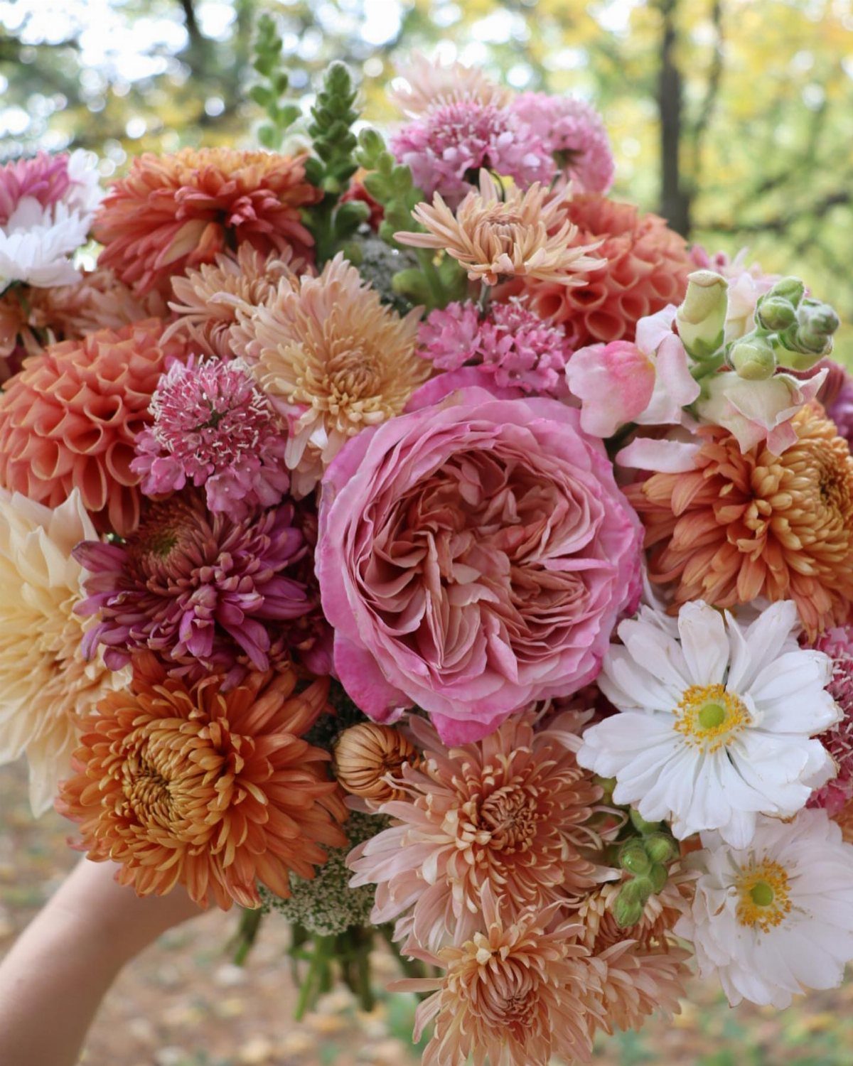 Colorful bridal bouquet with pink roses and orange heirloom chrysanthemums in autumn setting