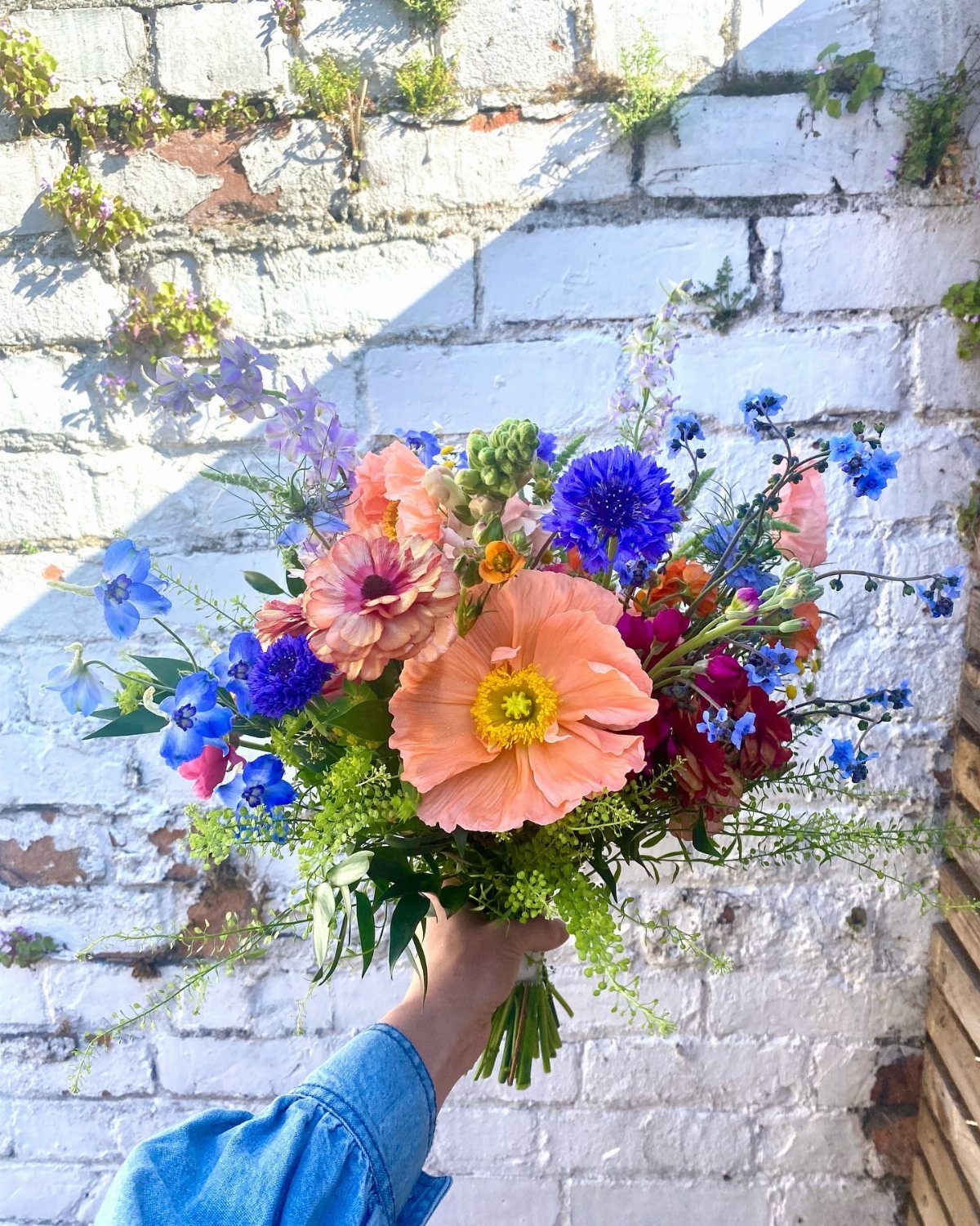 Colorful wildflower bouquet with a large peach poppy held against a white brick wall.