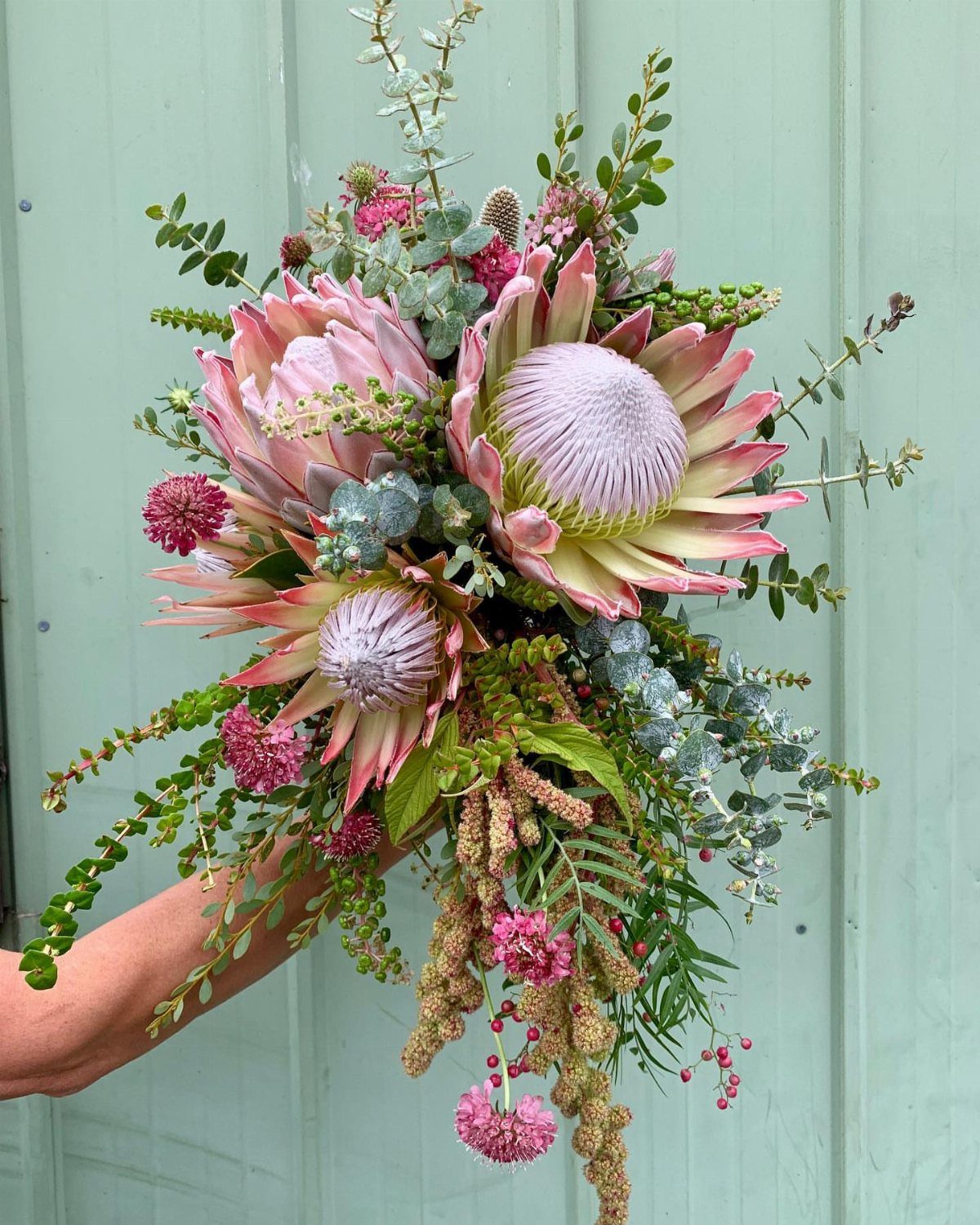 Bridal bouquet with pink proteas and eucalyptus held against a green wooden wall.